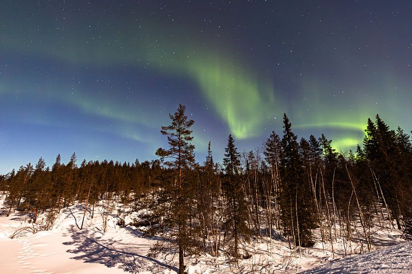 Northern lights at Vidsel - a dance of light on the frozen horizon by Fototante
