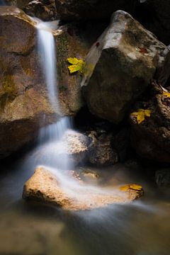 Herfstbladeren bij de kleine waterval van Denis Feiner