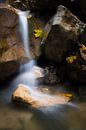 Herfstbladeren bij de kleine waterval van Denis Feiner thumbnail