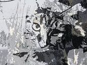 Kattenkunst - Diva 2 van MoArt (Maurice Heuts) thumbnail