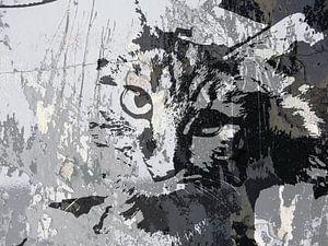 Art du chat - Diva 2