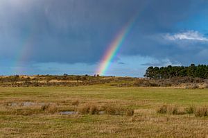 Arc-en-ciel au-dessus des dunes d'Amsterdam