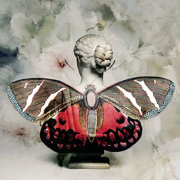 Butterfly wings van MinaMaria