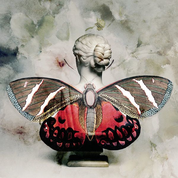 Schmetterlingsflügel von by Maria