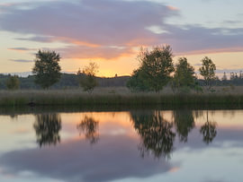 Lever du soleil au Meeuwenplas  - Dwingelderveld - Drenthe (Pays-Bas)