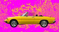 Alfa Romeo Spider "Coda Tronca" van aRi F. Huber thumbnail