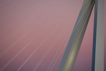 Erasmus Bridge in pink twilight glow by Esmée Fotografeert