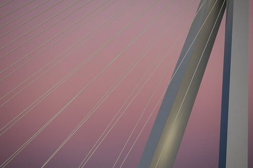 Erasmusbrug Rotterdam in roze avondschemering van Esmée Fotografeert