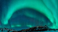 Lumières nordiques au-dessus des îles de Lofoten en Norvège par Sjoerd van der Wal Photographie Aperçu