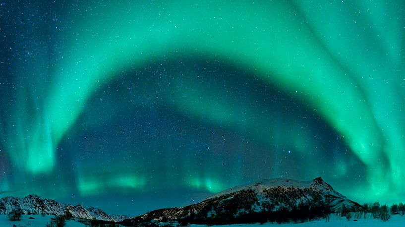 Lumières nordiques au-dessus des îles de Lofoten en Norvège par Sjoerd van der Wal Photographie