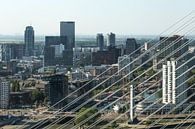Het centrum van Rotterdam door de tuien van de Erasmusbrug van MS Fotografie | Marc van der Stelt thumbnail