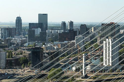Het centrum van Rotterdam door de tuien van de Erasmusbrug