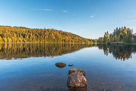 Goldener Herbst am Windgfällweiher – Spiegelglatter Moorsee von Conny Pokorny