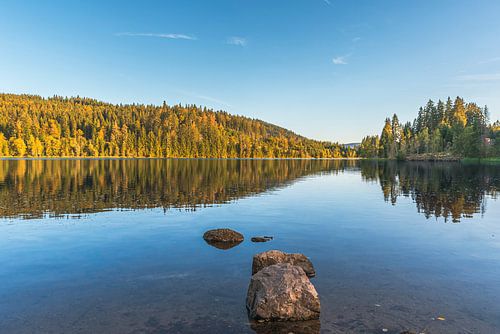 Gouden herfst bij de Windgfällweiher – een spiegelglad moerasmeer