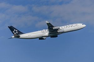 Lufthansa Airbus A340-300 in den Farben der Star Alliance.