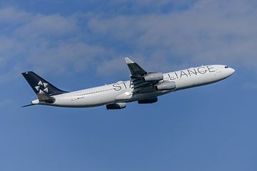 Lufthansa Airbus A340-300 in Star Alliance livery.