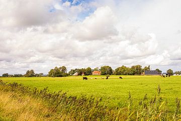 Landschap bij Fransum (Groningen) van J.P. Zwart