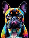 French Bulldog Pop Art by MIROKKU thumbnail