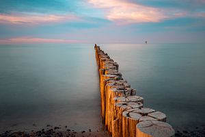 Lever de soleil sur la plage de la forêt des fantômes Nienhagen sur la mer Baltique, côte de la mer Baltique, Mecklembourg-Poméranie occidentale, Allemagne