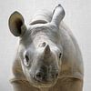 Baby Rhino by Gal Design