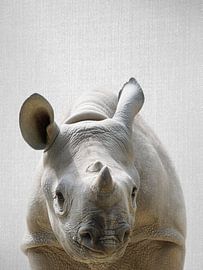 Baby Rhino by Gal Design