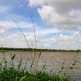 Niederländische Luft im Biesbosch von Foto van Joyce