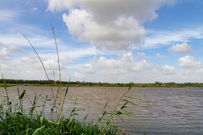 Dutch air in the Biesbosch by Foto van Joyce