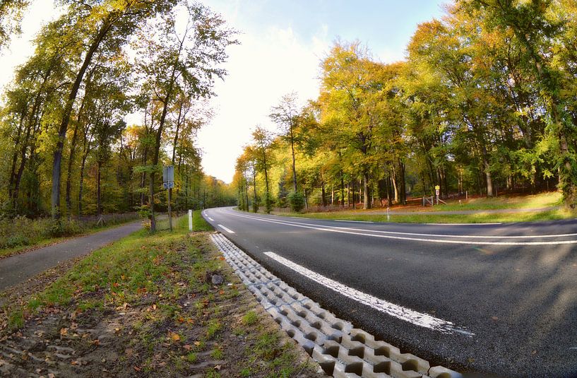 herfst plaatje langs de weg von Pascal Engelbarts