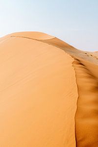Sanddüne in Sossusvlei, Namibia von Suzanne Spijkers