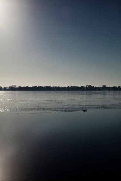 Winters zwemmen in Nannewiid by Rutger Hoekstra