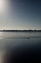 Winters zwemmen in Nannewiid by Rutger Hoekstra thumbnail