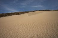 Zandvlakte met blauwe lucht van Marja van Noort thumbnail