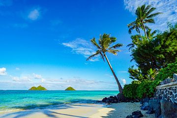 Hawaii strand en eilanden van Barbara Riedel