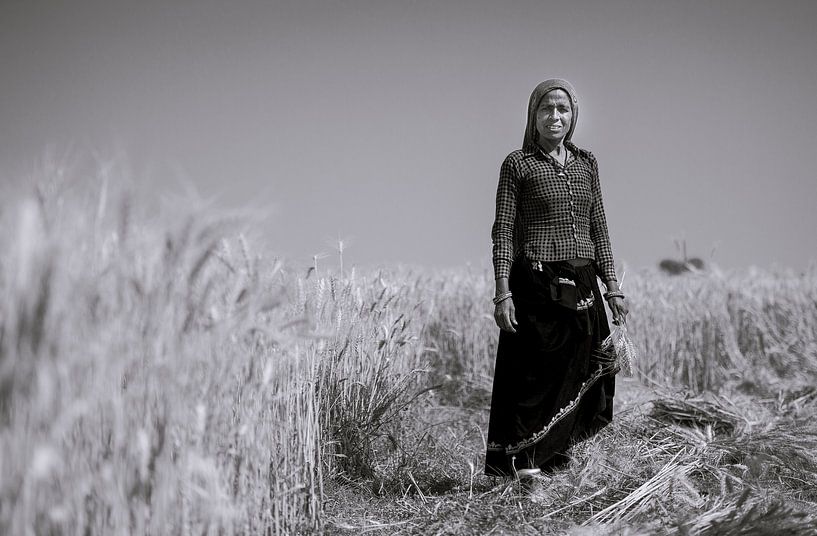 Een landwerkster in Rajasthan van Koen Hoekemeijer