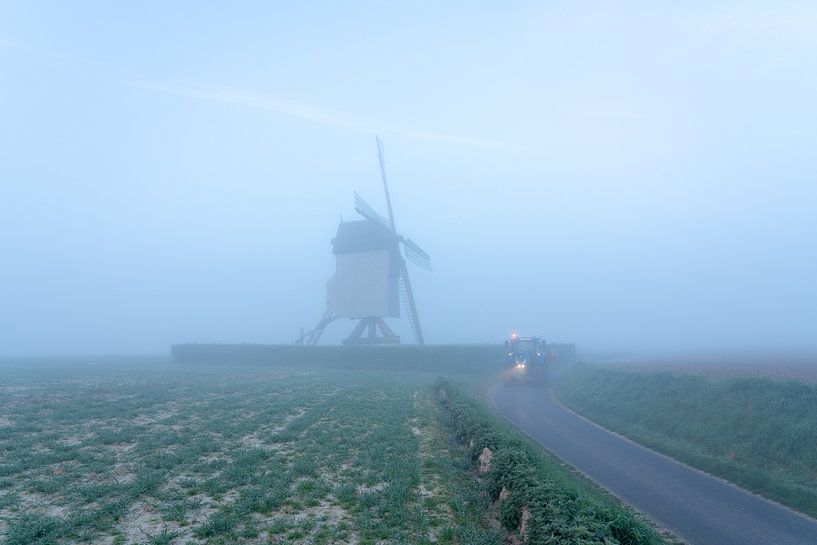 An einem schönen Morgen mit einer alten Windmühle (Hertboommolen) in t von Marcel Derweduwen