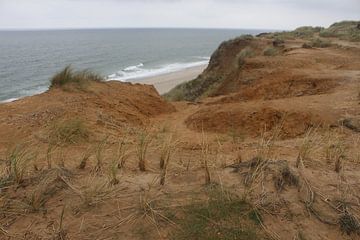 Rotes Kliff bei Kampen auf Sylt
