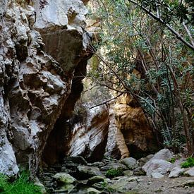 Avakas Gorge in Cyprus van Desiree Francke