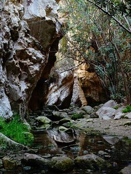 Avakas Gorge in Cyprus van Desiree Francke