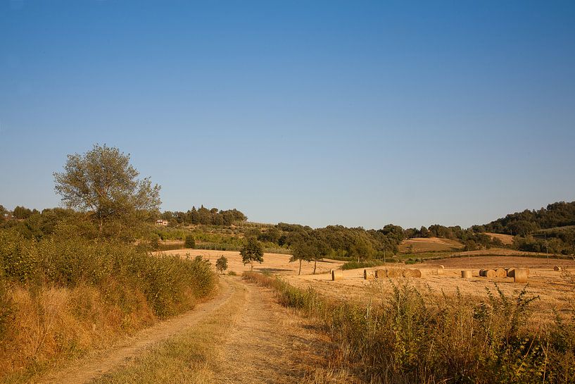 Toscane par Evert Jan Kip