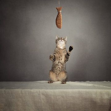Cat Behaviour Series - mmmm, ... Fish :) by Mariska Vereijken