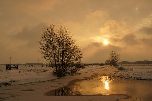 Krimpenerwaard in de winter sur Michel van Kooten
