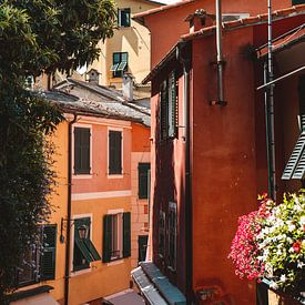 Colorful houses in Positano by Liz Schoonenberg
