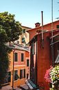 Colorful houses in Positano by Liz Schoonenberg thumbnail
