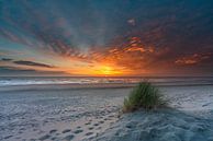 Dunes de plage Paal 15 Texel herbe marrame beau coucher de soleil par Texel360Fotografie Richard Heerschap Aperçu