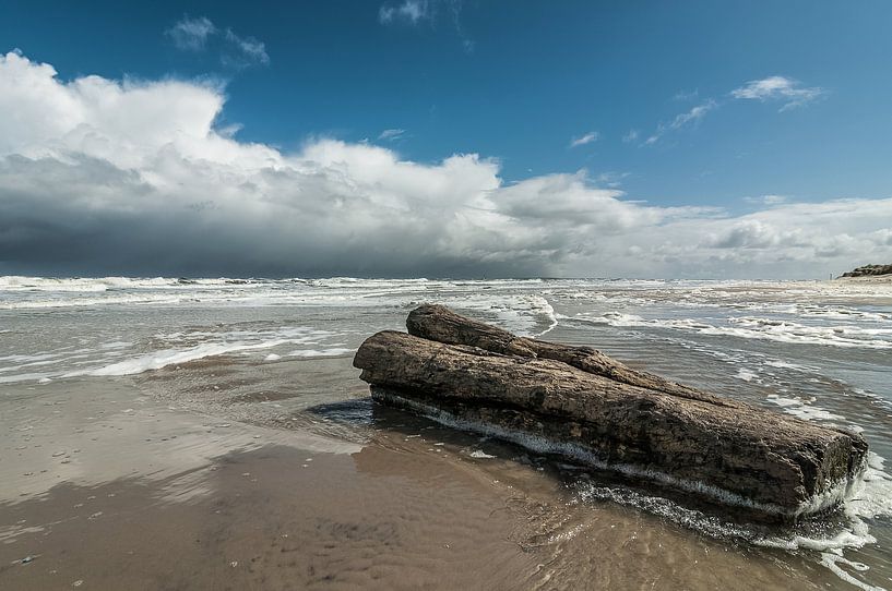 Le coffre de Boschplaat par Albert Wester Terschelling Photography