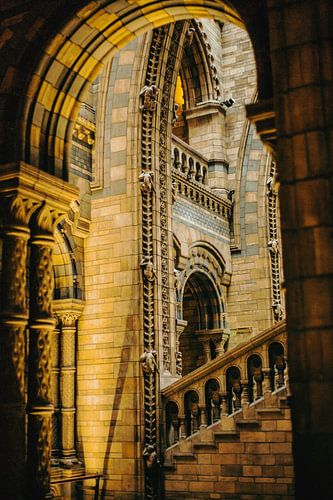 National History Museum von Ocmer Fotografie