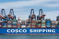 COSCO SHIPPING SCORPIOOne Minato kobe container schip in de  haven van Rotterdam van Elles Rijsdijk thumbnail