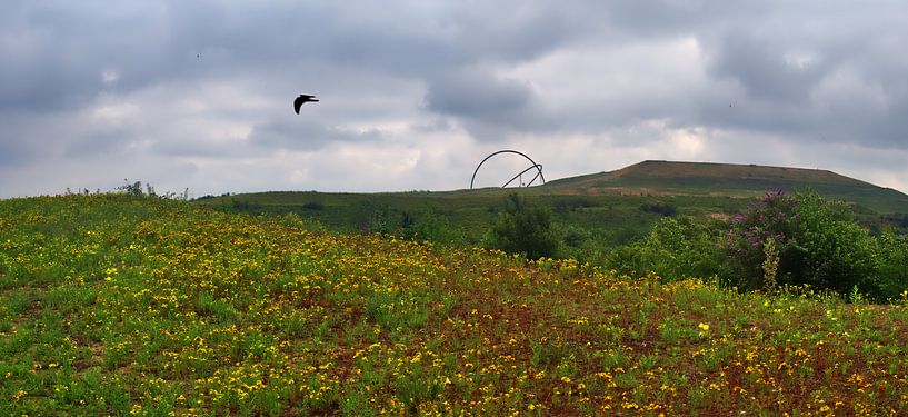 Panorama des décharges par Edgar Schermaul