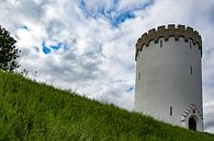 White water tower in Fredericia, Denmark by Anne Ponsen thumbnail