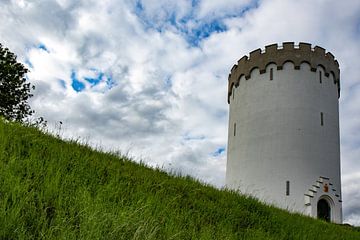 Witte watertoren in Fredericia, Denemarken van Anne Ponsen